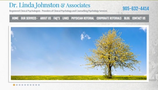 Dr Linda Johnston & Associates - website design - website development